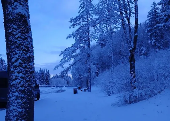 Adls2 Διαμέρισμα Gries (Innsbruck)